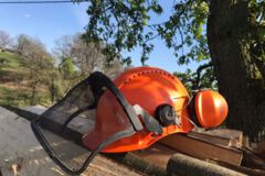 Baumfällerhelm mit Schutzvisier und Ohrenschützern auf einem Stapel Schnittholz