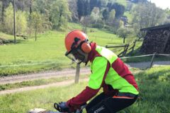 Baumscheibenschnitt, Baumfällung, Gefahrbaumbeseitigung, Häcksler, Kaminholz, Motorsäge