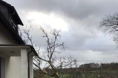 Problembaum auf Haus gestürzt, Baumfällung, Gefahrbaumbeseitigung, Häcksler, Kaminholz, Motorsäge