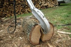gespaltener Baumstamm, Baumfällung, Gefahrbaumbeseitigung, Häcksler, Kaminholz, Motorsäge