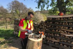 Motorsäge, Baumfällung, Gefahrbaumbeseitigung, Häcksler, Kaminholz, Motorsäge