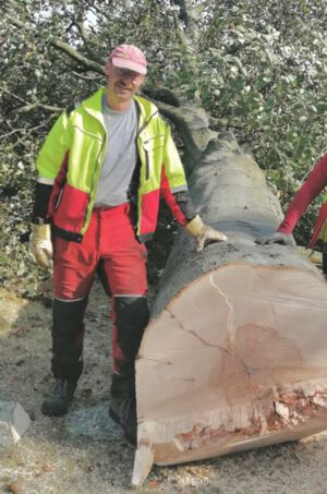 Baumfällarbeiten, Problembaumfällung, Wegemann, gewerblichen Holzfällung, Seilklettertechnik