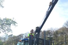 Ausleger hebt Baum, Baumfällung, Gefahrbaumbeseitigung, Häcksler, Kaminholz, Motorsäge