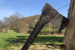 Axt im Baum, Baumfällung, Gefahrbaumbeseitigung, Häcksler, Kaminholz, Motorsäge