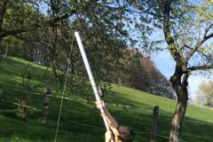 Seilschussgeraet im Einsatz, Baumfällung, Gefahrbaumbeseitigung, Häcksler, Kaminholz, Motorsäge