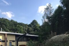 Äste werden gehäckselt, Baumfällung, Gefahrbaumbeseitigung, Häcksler, Kaminholz, Motorsäge