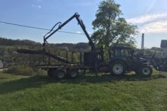 Auslegerkran, Baumfällung, Gefahrbaumbeseitigung, Häcksler, Kaminholz, Motorsäge