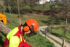 Motorsäge im Einsatz, Baumfällung, Gefahrbaumbeseitigung, Häcksler, Kaminholz, Motorsäge